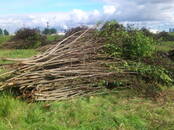 Строительные работы,  Отделочные, внутренние работы Уборка помещений, цена 100 рублей, Фото