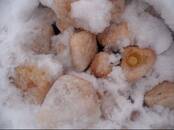 Стройматериалы,  Кирпич, камень, брусчатка Камень, цена 100 рублей, Фото