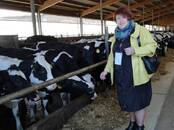 Птицеводство Корм, Фото